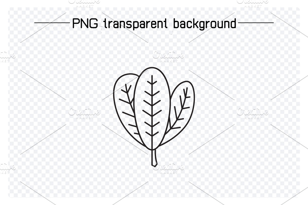 Bundle of Leaf Line Illustrations, an Illustration by Designfour (Photo 6 of 7)