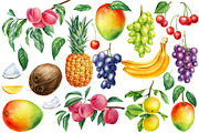 Watercolor fruits clipart, an Illustration by Hanna Hryharenka (Thumbnail 8 of 14)