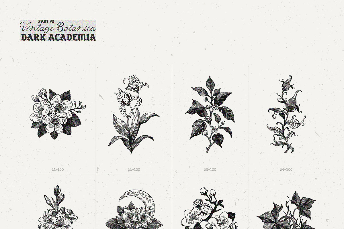 Dark Academia Flora | Illustration, an Object Graphic by KetteCreate (Photo 8 of 14)