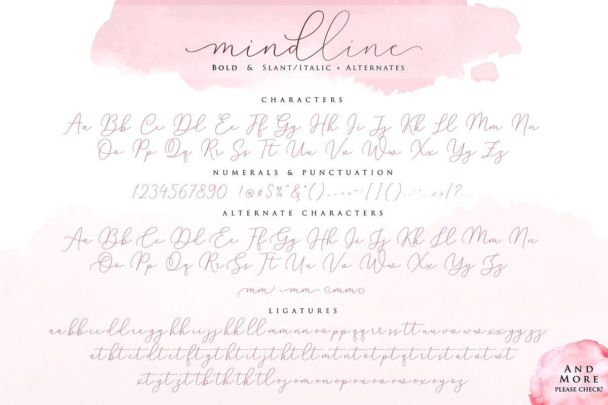 Mindline Script, a Script Font by Barland Design (Photo 9 of 12)