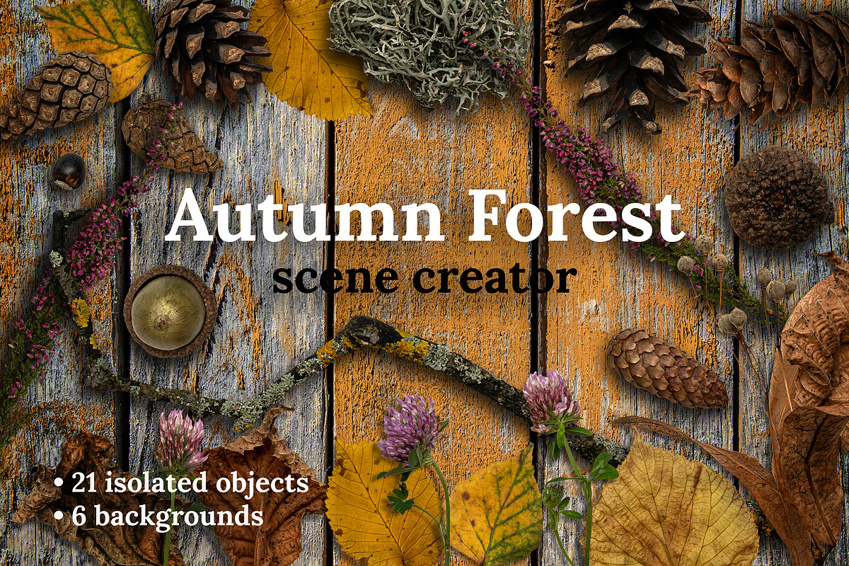 Autumn Leaves Scene Creator, a Product Mockup by Rose Design (Photo 1 of 10)