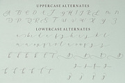 Snow White, a Script Font by Funtype (Thumbnail 9 of 10)
