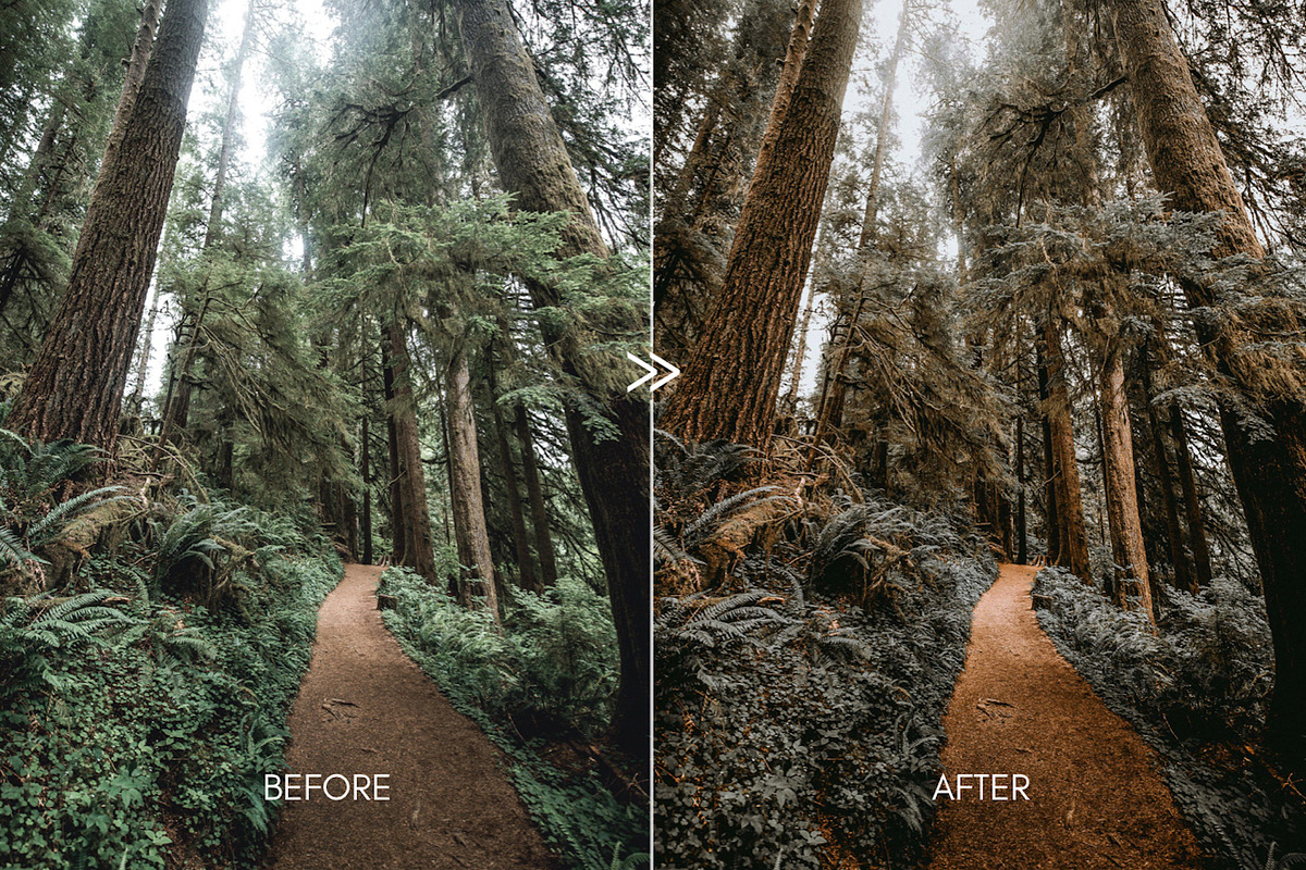 PINE Warm Moody Lightroom Presets preview 6