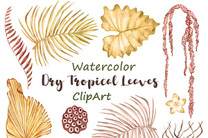 Watercolor Dry Tropical Leaves