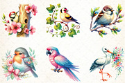 Spring Birds Sublimation Clipart, an Illustration by DreamCafeArt (Thumbnail 2 of 5)