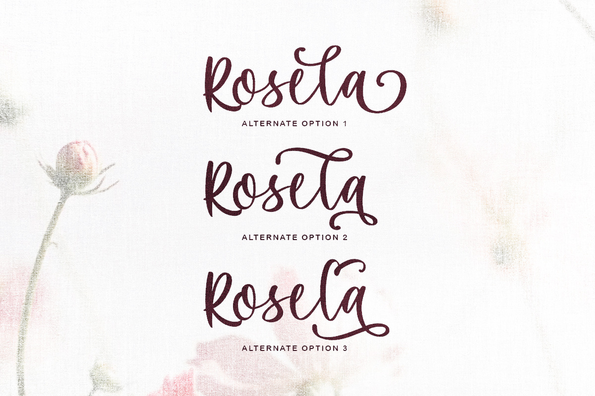 Maria Heart - Romantic Script, a Script Font by Bale Type (Photo 3 of 9)