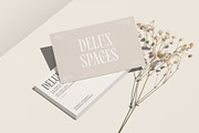 Chantila - Modern Serif Font, a Serif Font by TropicalSunlightCo. (Thumbnail 10 of 10)