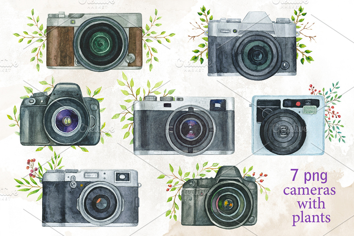 Cameras & plants. Watercolor set, an Illustration by Nastilustra (Photo 3 of 8)