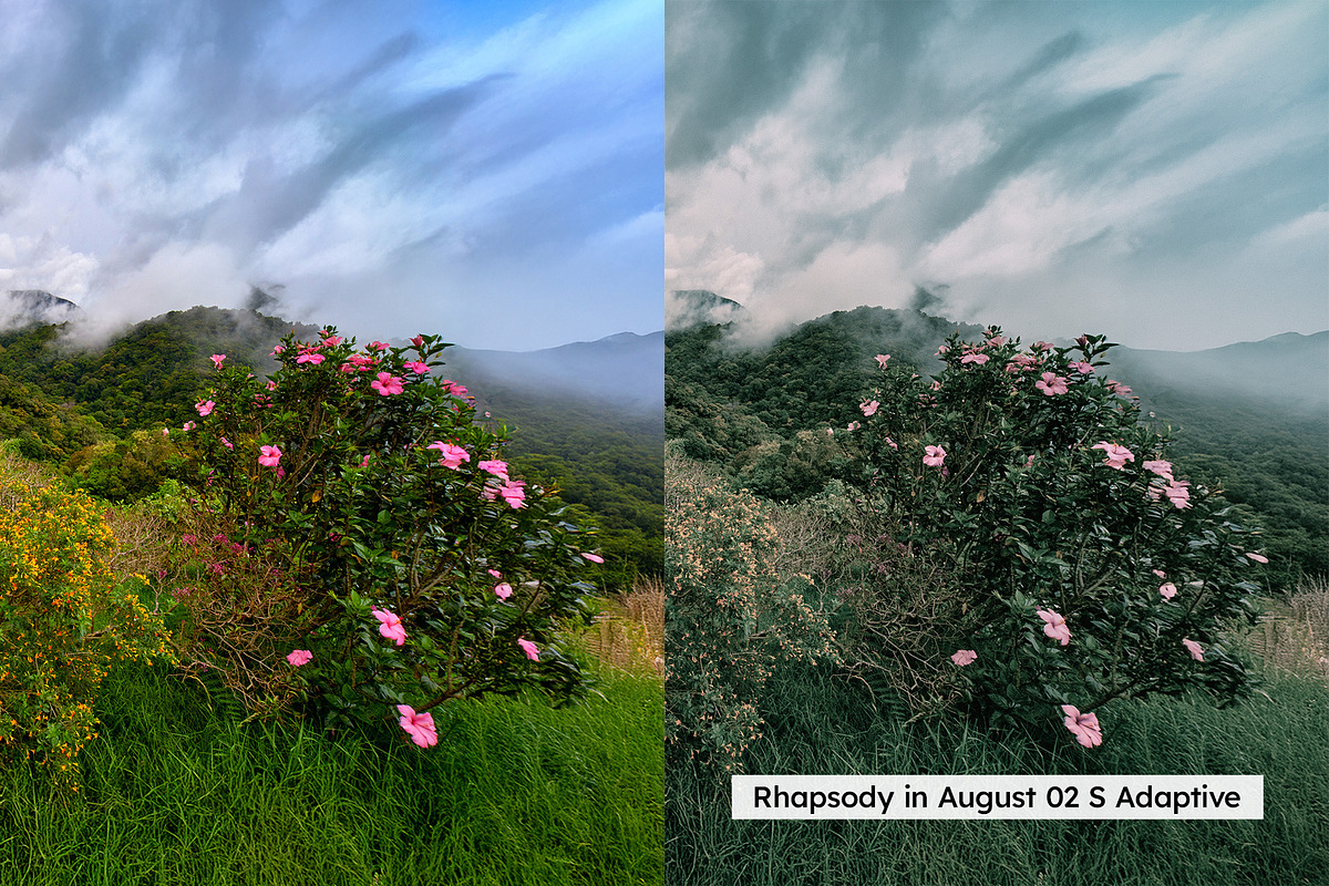 20 Kurosawa Film Lightroom Presets a, a Preset Add-On by SparkleStock (Photo 2 of 16)