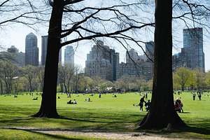 Central park containing usa, new york, and central park