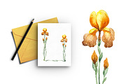 Watercolor gladioli set, an Illustration by Floralis (Thumbnail 4 of 4)