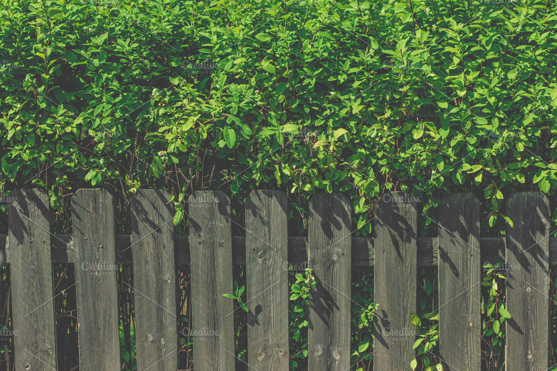 Wooden fence featuring fence, wood, and wooden