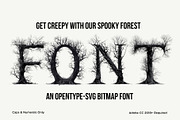 Spooky Forest, a Serif Font by Loudoun Design Co. (Thumbnail 1 of 6)