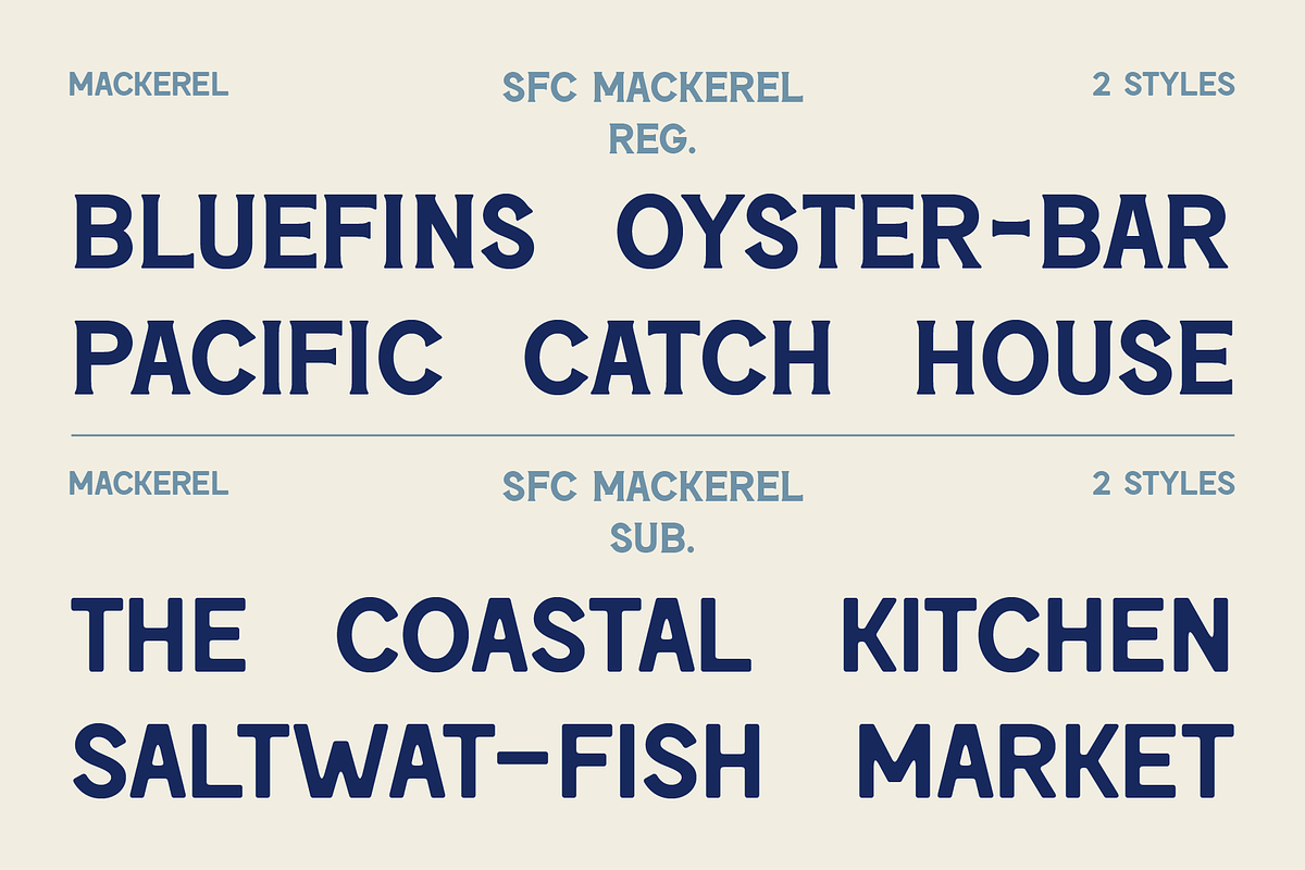 SFC Mackerel (Refined) - Font Duo, a Serif Font by Skilline Supply Co. (Photo 10 of 22)