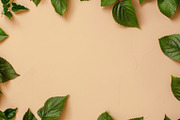99 Frames of green leaves, a Nature Photo by Handmadefont (Thumbnail 3 of 100)