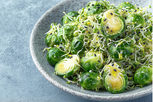 A dish of micro-green salad, a Technology Photo by ZinetroN