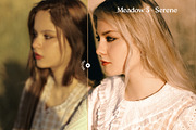 Meadow Lightroom Presets, a Preset Add-On by Presetrain Co. (Thumbnail 7 of 7)