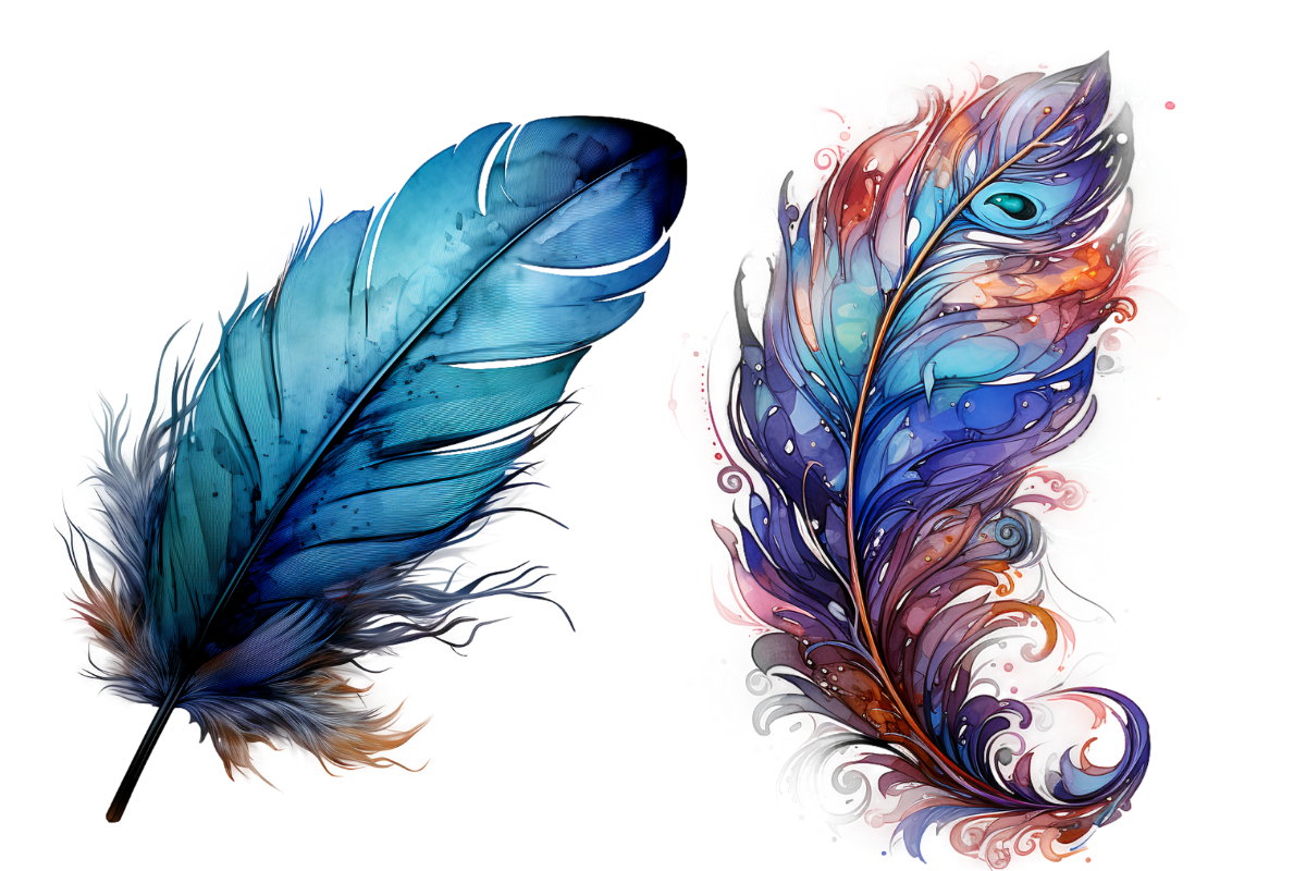 Birds Feathers Clipart, an Object Graphic by Agnesagraphic (ID 95) (Photo 6 of 7)