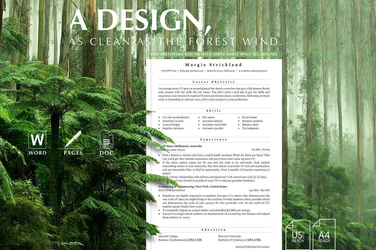 Accountant CV Template | CV Template, a Resume Template by Career Canvas (Photo 4 of 11)