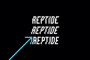 REPTIDE Family Font, a Font by Mymlan Shop (Thumbnail 6 of 11)
