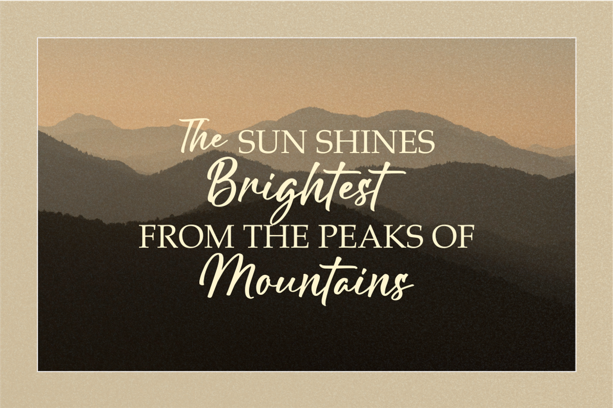 Delight Creations a Script Font, a Script Font by Vilogsign (Photo 6 of 7)