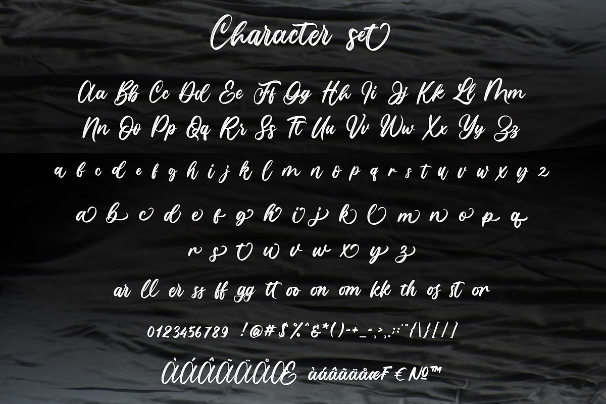 Lotterdam Brush Font, a Script Font by Rochart (Photo 4 of 9)