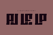 Spora Kajoler, a Sans Serif Font by QR Design Studio (Thumbnail 7 of 8)