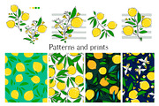 Pattern Lemons with leaves., a Background Graphic by Sweet_print (Thumbnail 2 of 4)