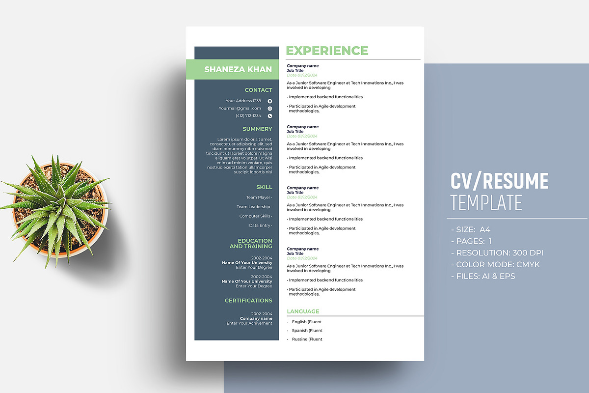 Job Winning Resume/CV Template, a Resume Template by Sharifull11 (Photo 2 of 3)
