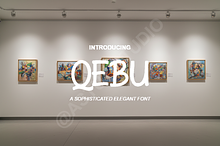 Qebu | Sophisticated Luxury Serif T