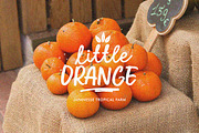 Summer Dear Font Duo + Extras, a Script Font by Lucky Type (Thumbnail 3 of 12)