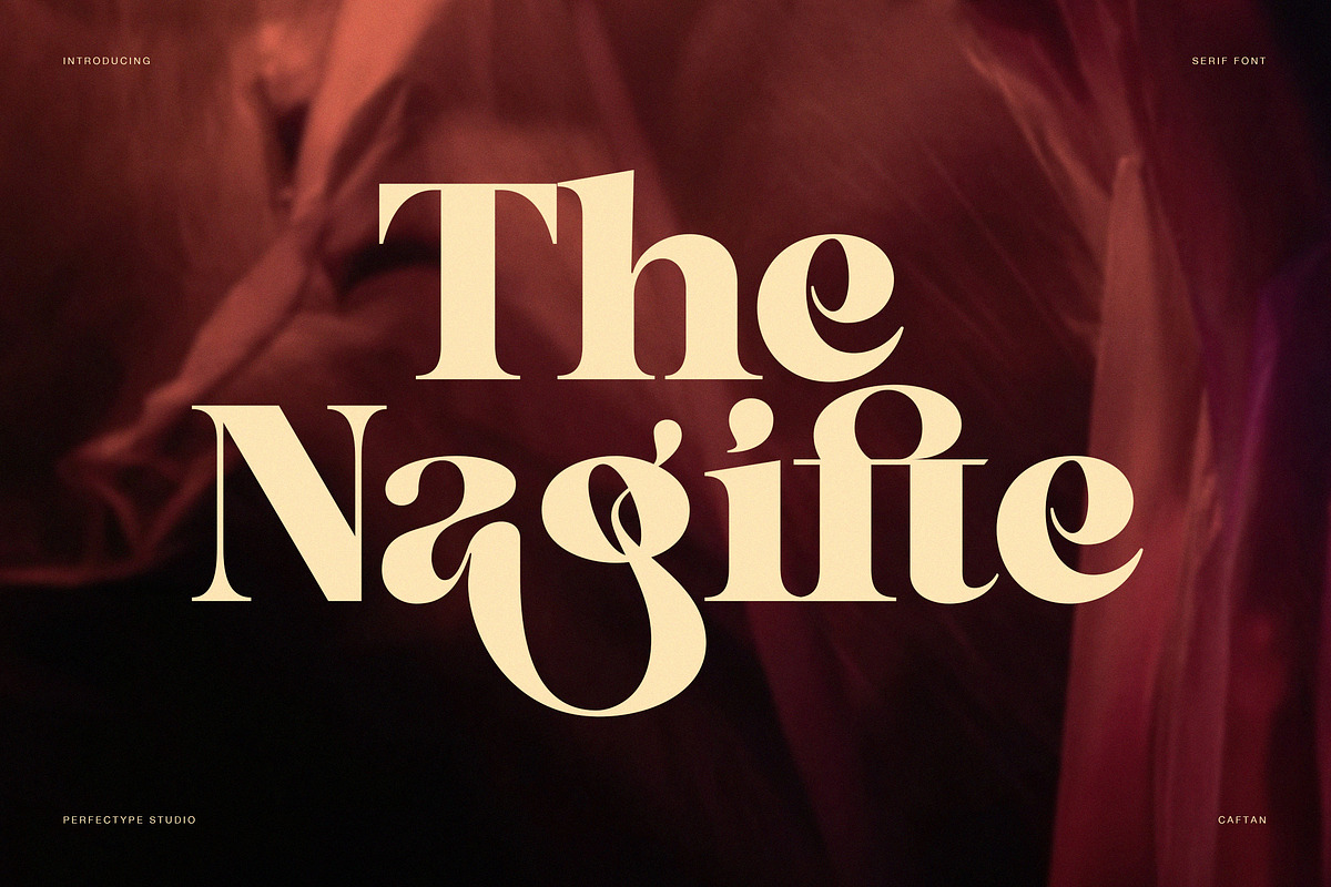 The Nagifte – Elegant Display Serif, a Serif Font by Perfectype (Photo 1 of 8)