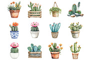 Watercolor Cactus Clipart, a Seasonal Illustration by Designking (Thumbnail 2 of 5)