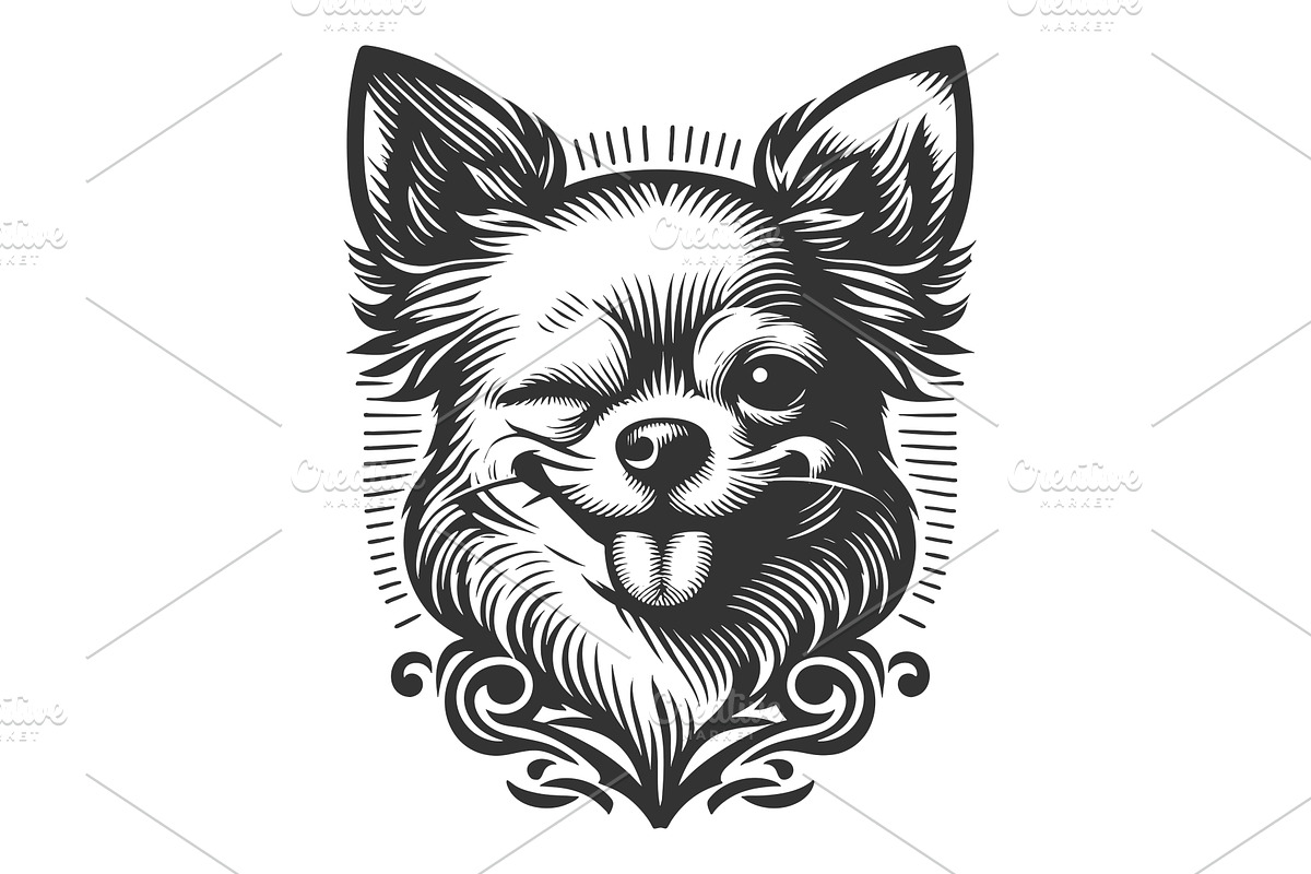 Happy chihuahua dog engraving vector, an Animal Illustration by AlexArt