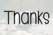 Panda Chubby, a Serif Font by InermediaSTUDIO (Thumbnail 8 of 8)