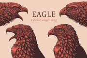 Design set Eagle. Vector engraving, an Animal Illustration by Vector Engraving (Thumbnail 1 of 2)