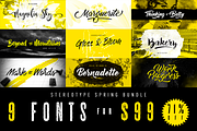 StereoType Spring Bundle, a Handwritten Font by StereoType (Thumbnail 1 of 10)