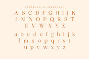Wondershine, a Serif Font by INKSUN™ (Thumbnail 12 of 14)