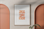 Engray Danton Modern Serif Font, a Serif Font by timelesstype.co (Thumbnail 5 of 20)
