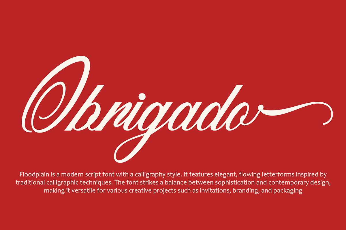 Floodplain - Modern Script Font, a Script Font by HeyFonts (Photo 10 of 10)