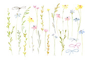 Watercolor Hand-painted Wildflowers, a Decorative Illustration by GraphicsDish (Thumbnail 2 of 5)
