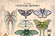 Winter Moths & Evergreen Botanicals, a Seasonal Illustration by Ink Stories (Thumbnail 2 of 15)