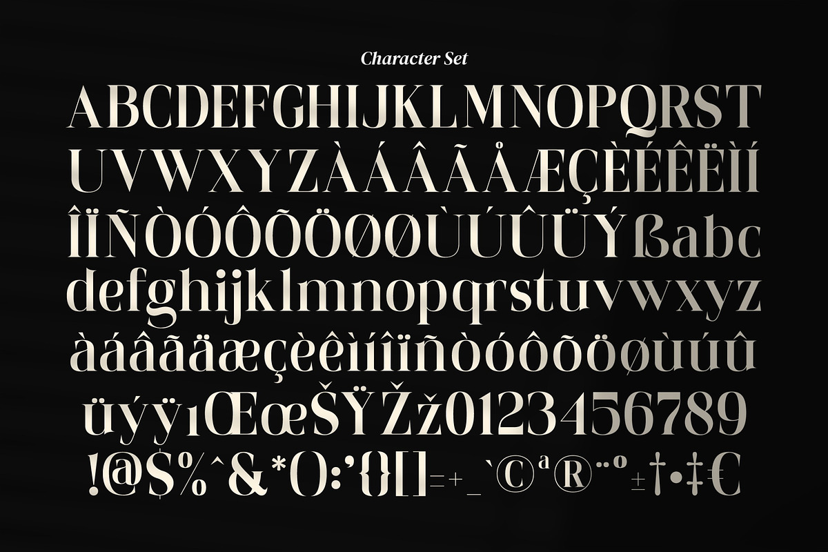 Shanolia for Luxury Branding, a Serif Font by Glyphminds Studios (Photo 8 of 10)