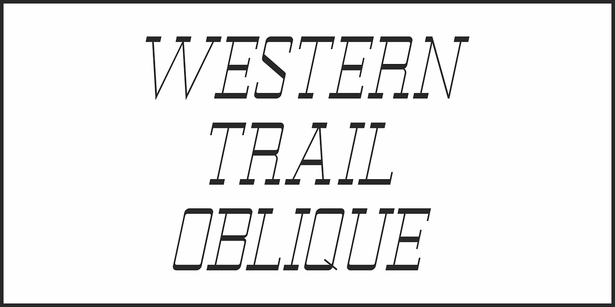 Western Trail JNL, a Font by Jeff Levine Fonts (Photo 4 of 5)