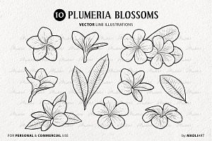 Plumeria Flower Vector Line Art Set