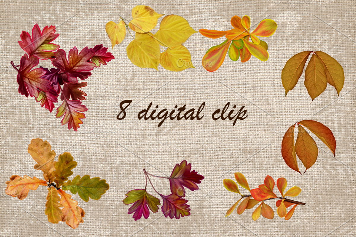 Autumn leaves and berries, a Decorative Illustration by SokolovaSv (Photo 2 of 4)