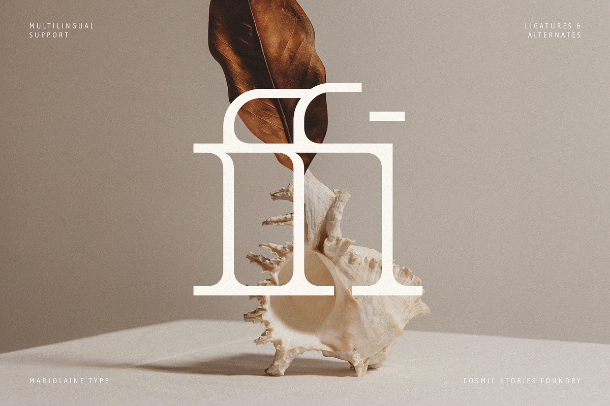 Marjolaine Type - A delicate Serif, a Serif Font by CarmineType (Photo 7 of 24)