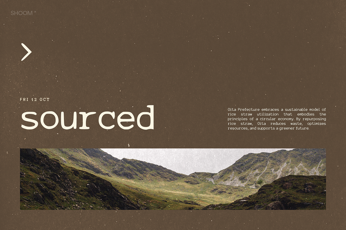 Lyric Mono: Cozy Monotype, a Sans Serif Font by SHOOM HOUSE (Photo 12 of 12)