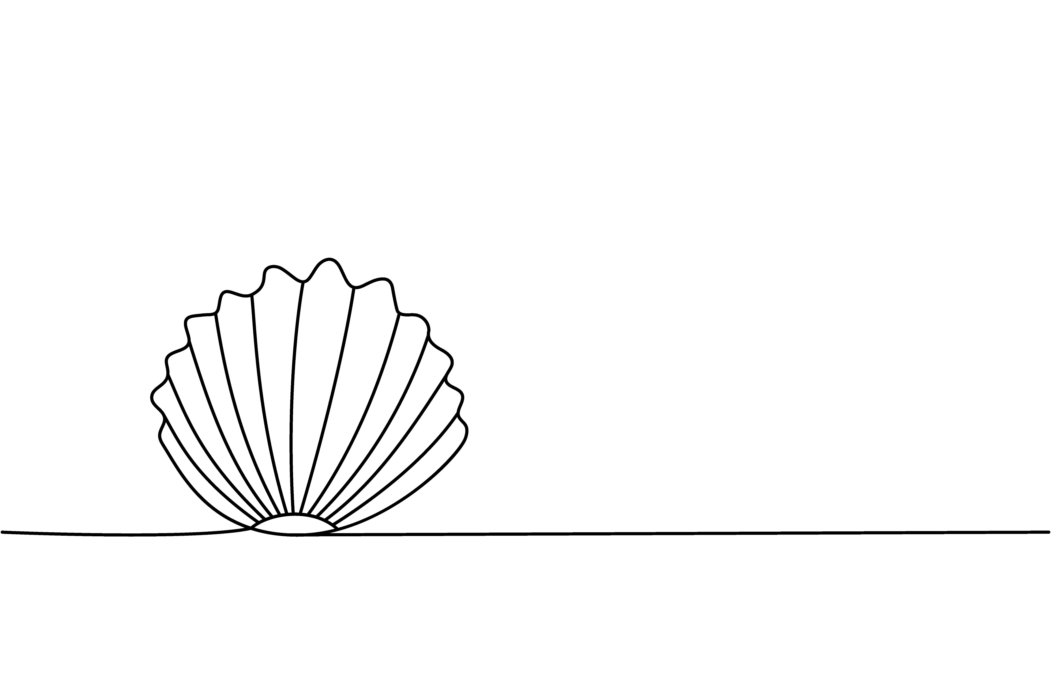 Set of Shell one line continuous, a Texture Graphic by GraphiShop