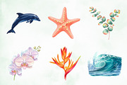 Modern Tropical Huge Collection, an Illustration by Creative Art (Thumbnail 4 of 9)